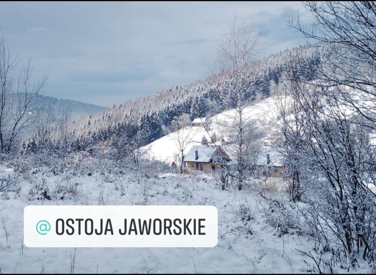 Ostoja Jaworskie Stryszawa Eksteriør billede
